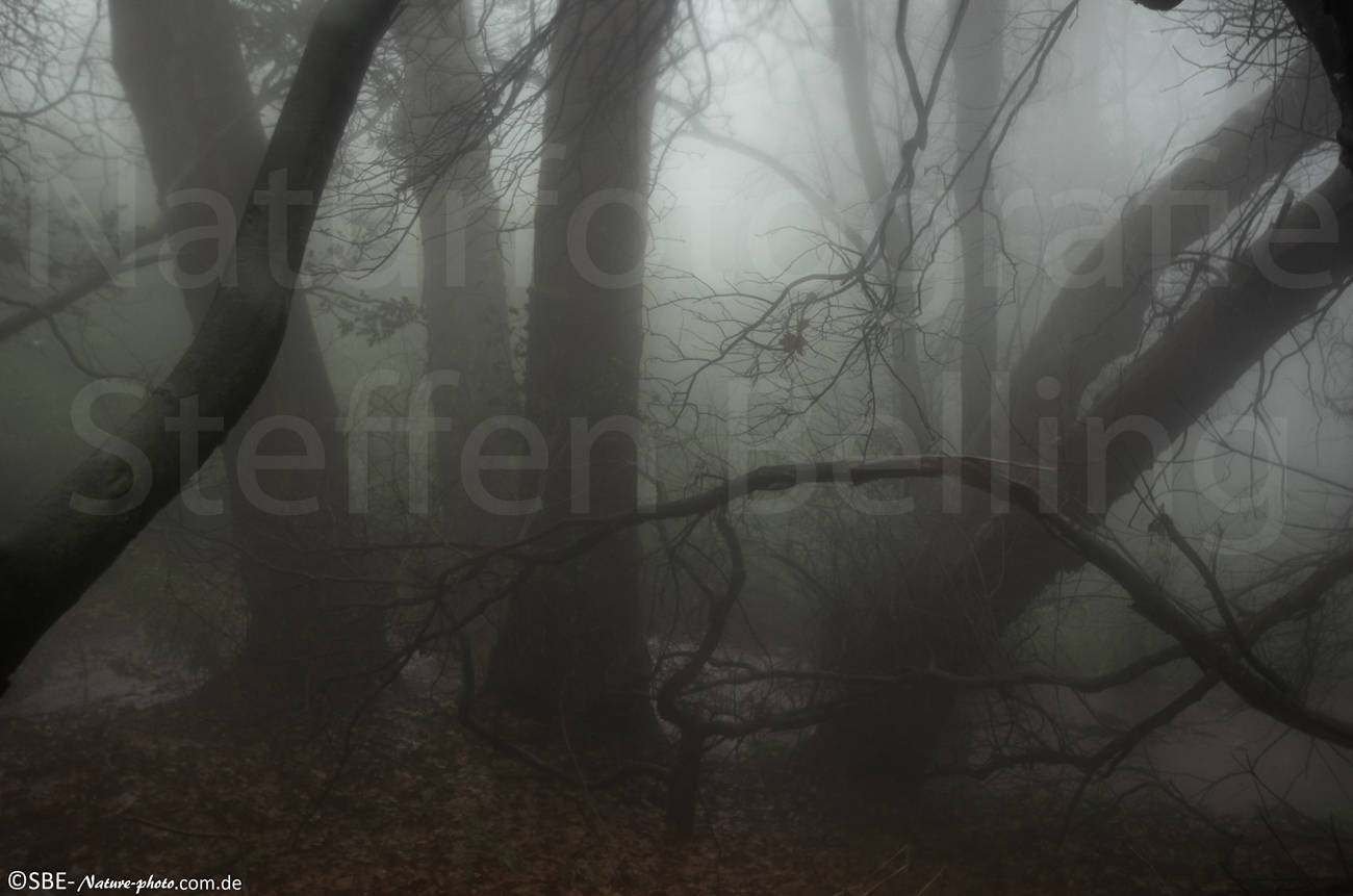 _IGP5662